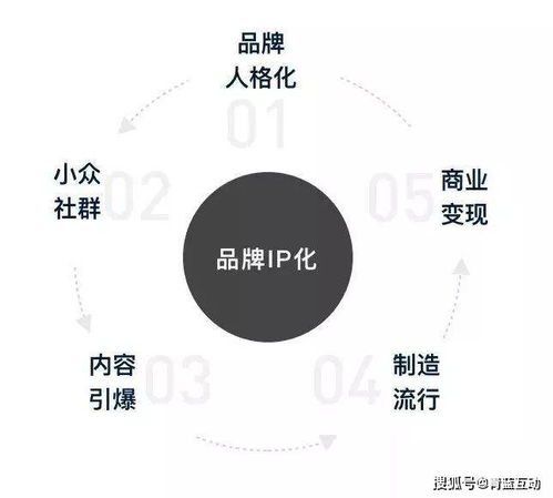 品牌IP的圈層化 互聯網營銷聯動下的新機遇
